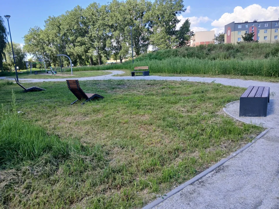 Brzeźno w Gdańsku zmienia się nie do poznania. Ruszyła zielona inwestycja wybrana przez mieszkańców