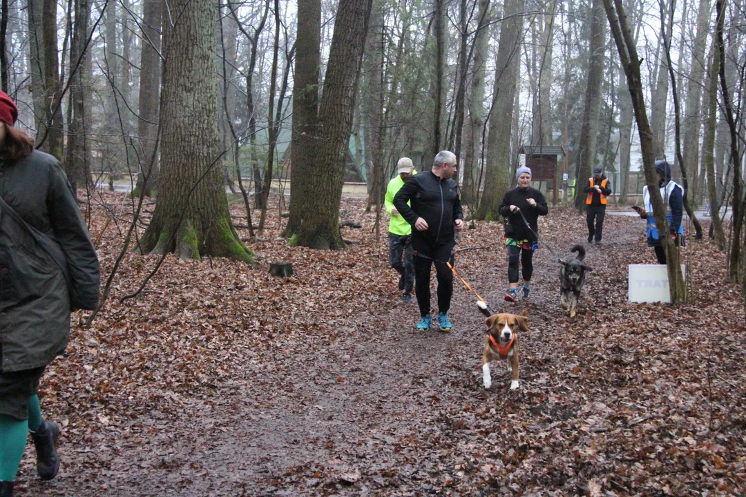 Walentynkowy parkrun w Lesie Łagiewnickim