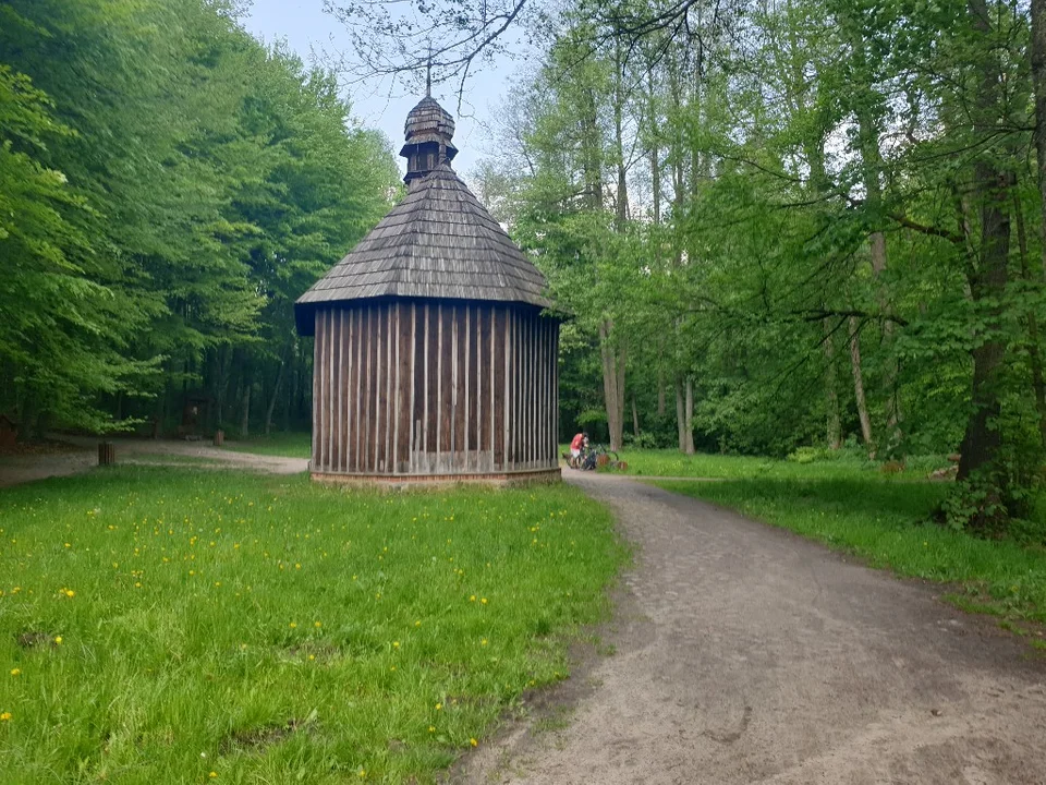 Biegali po Lesie Łagiewnickim dla dzieci z Fundacji Gajusz. Byliście? [zdjęcia]