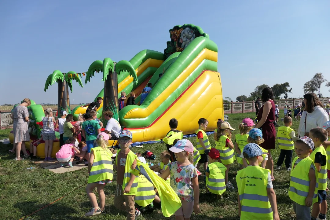 Duża impreza pod Kutnem! Za nami kolejny powiatowy piknik [ZDJĘCIA] - Zdjęcie główne