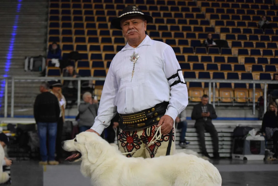 Wystawa psów w Atlas Arenie