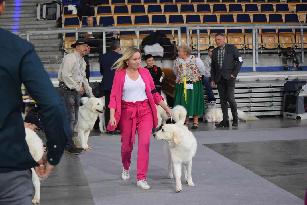 Wystawa psów w Atlas Arenie