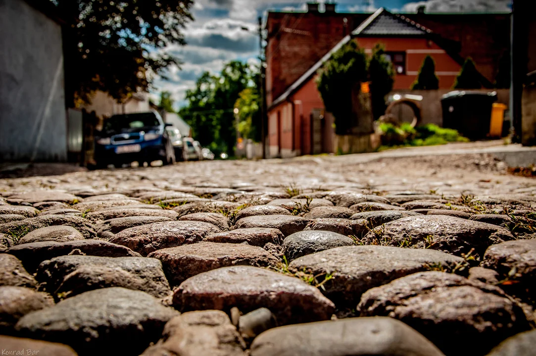 Fotogaleria mieszkańców Zgierza