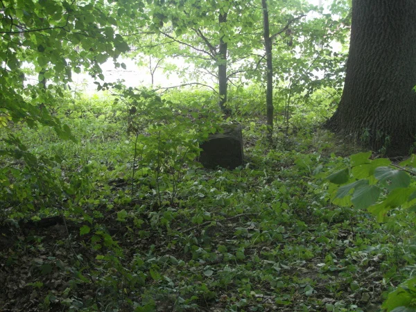 Cmentarz Piotrków Meszcze