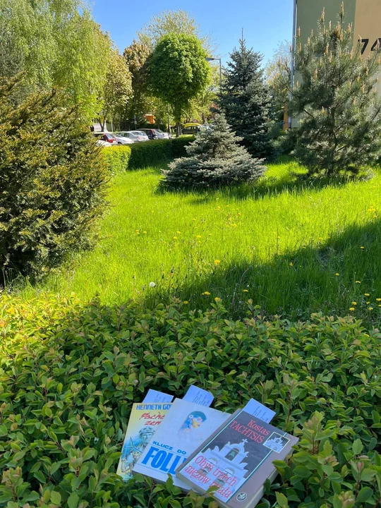 Wędrująca książka w Zgierzu, czyli bookcrossing. Wiecie, co to takiego? [zdjęcia]