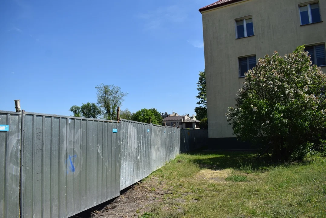 Zgierz. Parafia pozwoliła na wycinkę 200 drzew. Budują tam bloki - Zdjęcie główne