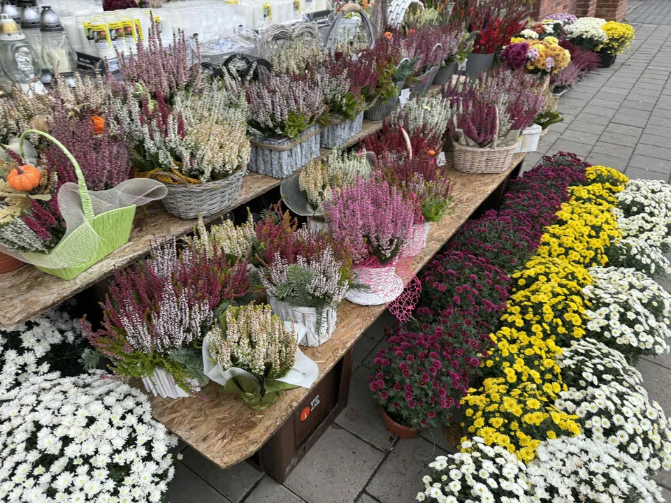 Wszystkich Świętych Łódź 2025