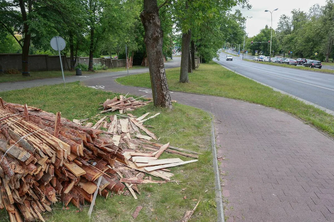 Przygotowania do remontu drogi rowerowej na al. Palki w Łodzi