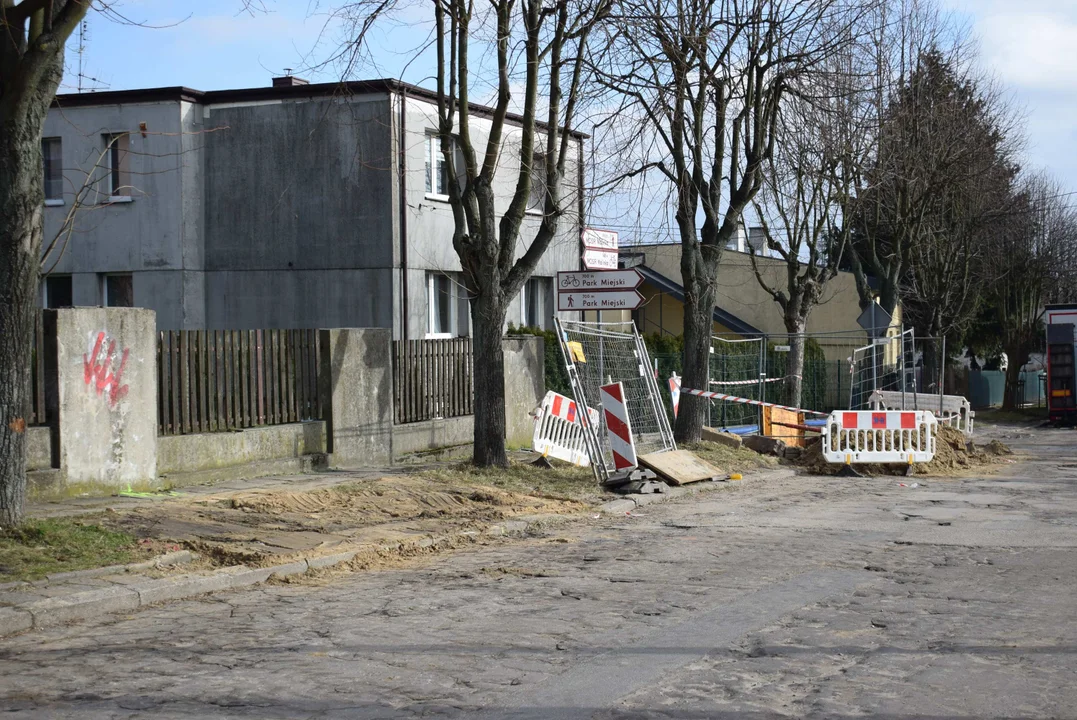 Z ulicy Fijałkowskiego w Zgierzu  znikną drzewa