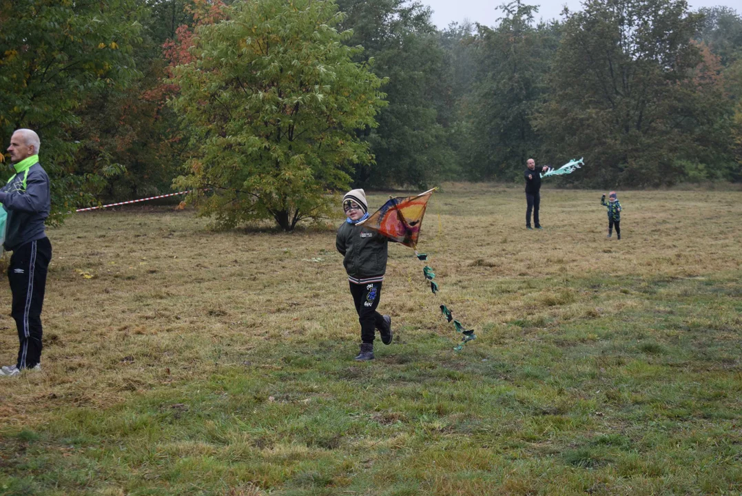 Święto Latawca w Zgierzu