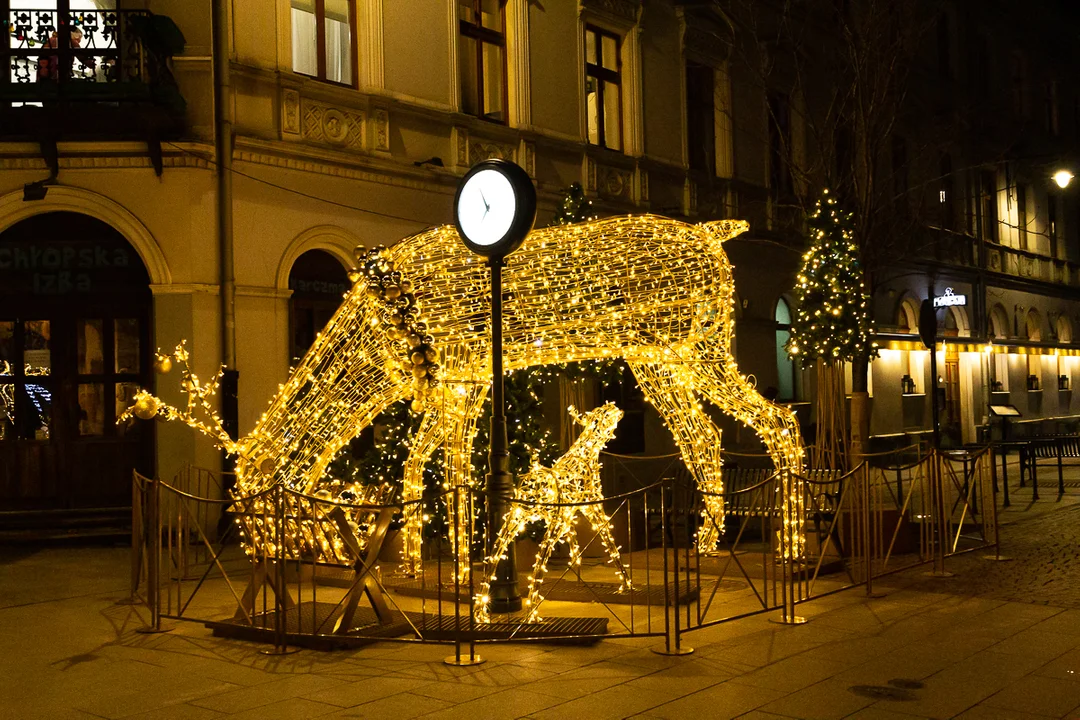 Świąteczna iluminacja na ul. Piotrkowskiej