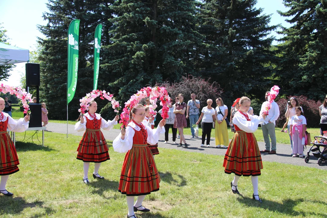 "Majówka w ogrodzie" - Ogród Botaniczny w Łodzi zaprasza na piknik rodzinny