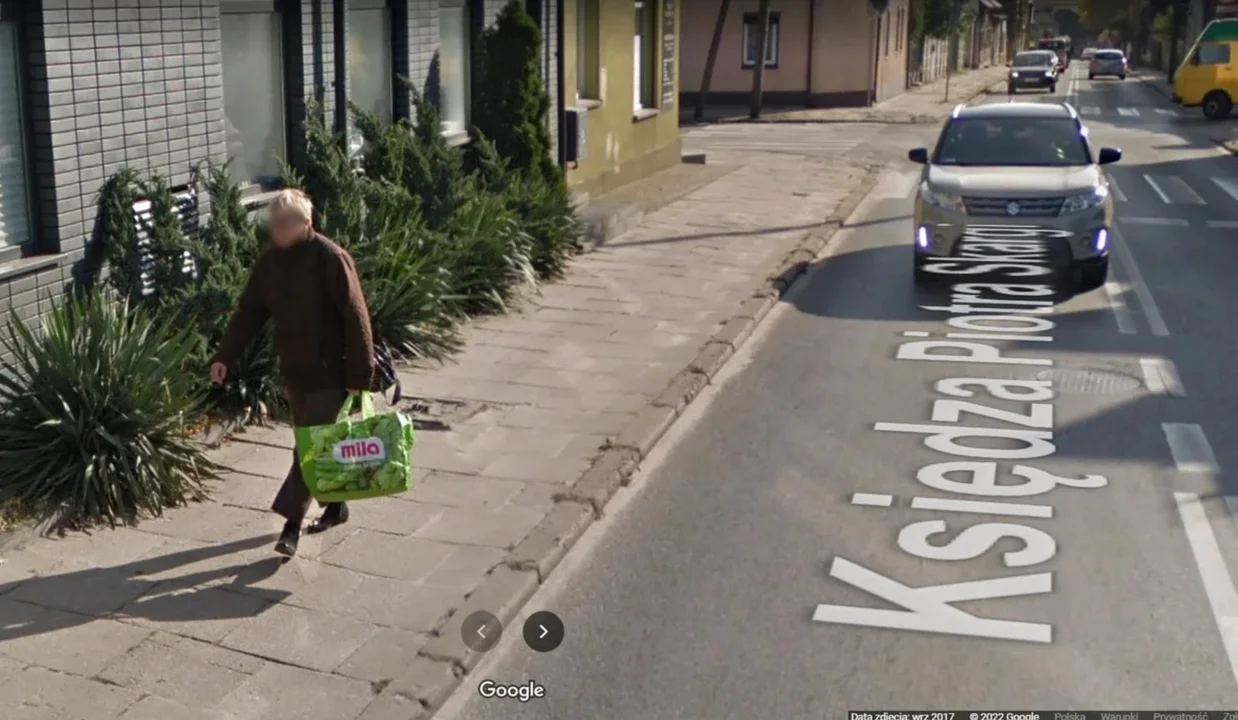 Zgierzanie obiektywie Google Street View