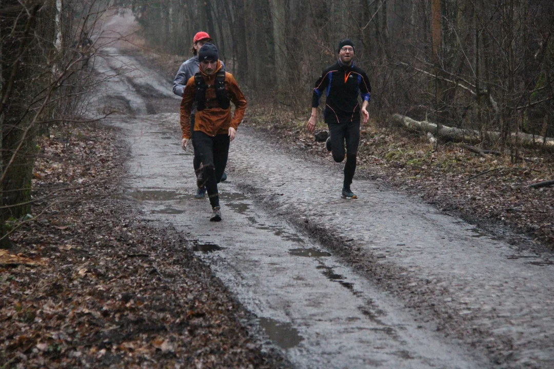 Walentynkowy parkrun w Lesie Łagiewnickim