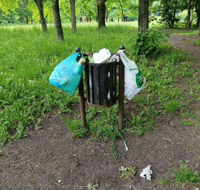 Tu sadzą drzewa, tam zapominają o parku. Jak miasto (nie) dba o zieleń [FOTO] - Zdjęcie główne