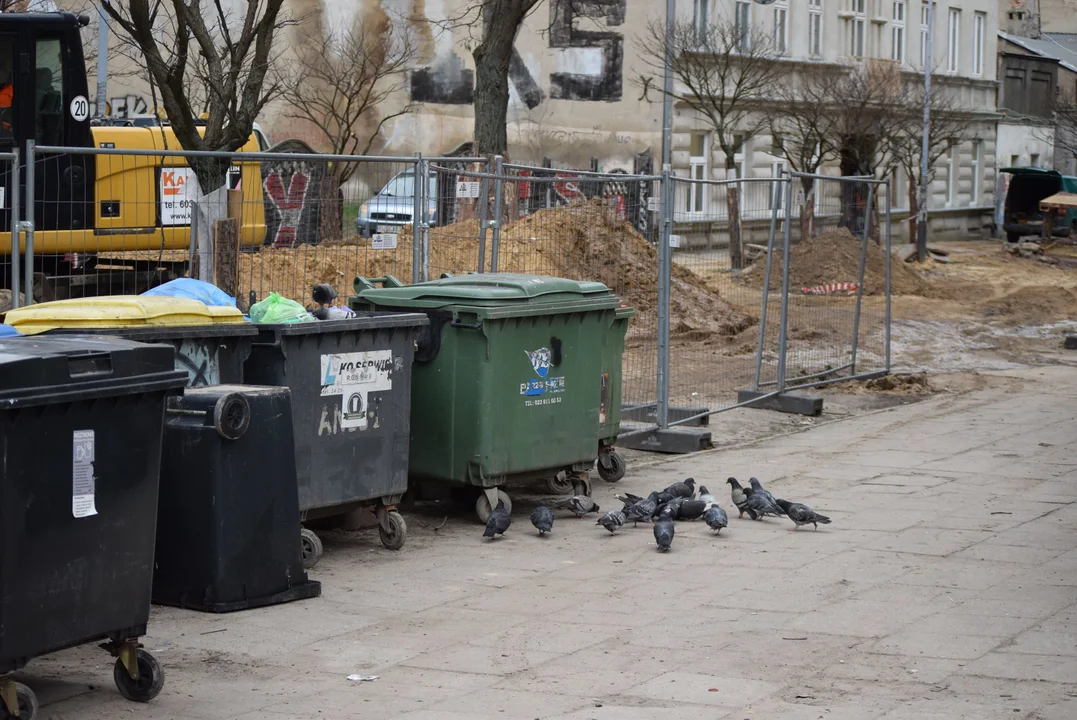 Mieszkańcy mają dość zalegających śmieci w centrum Łodzi. „Flaszek jest więcej niż robotników” [zdjęcia]