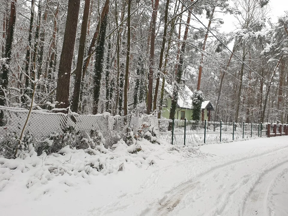 Śnieżna galeria ze Zgierza i Sokolnik-Lasu