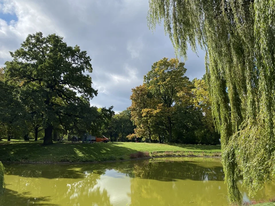 Park Źródliska jesienią