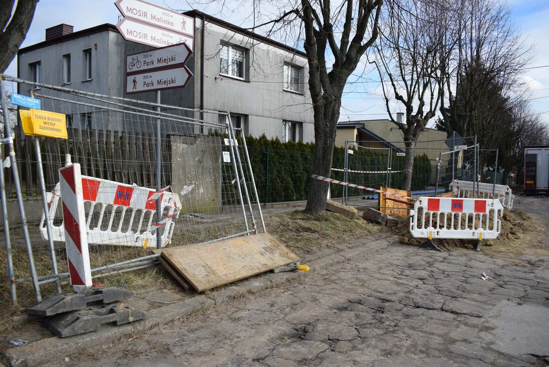 Z ulicy Fijałkowskiego w Zgierzu  znikną drzewa