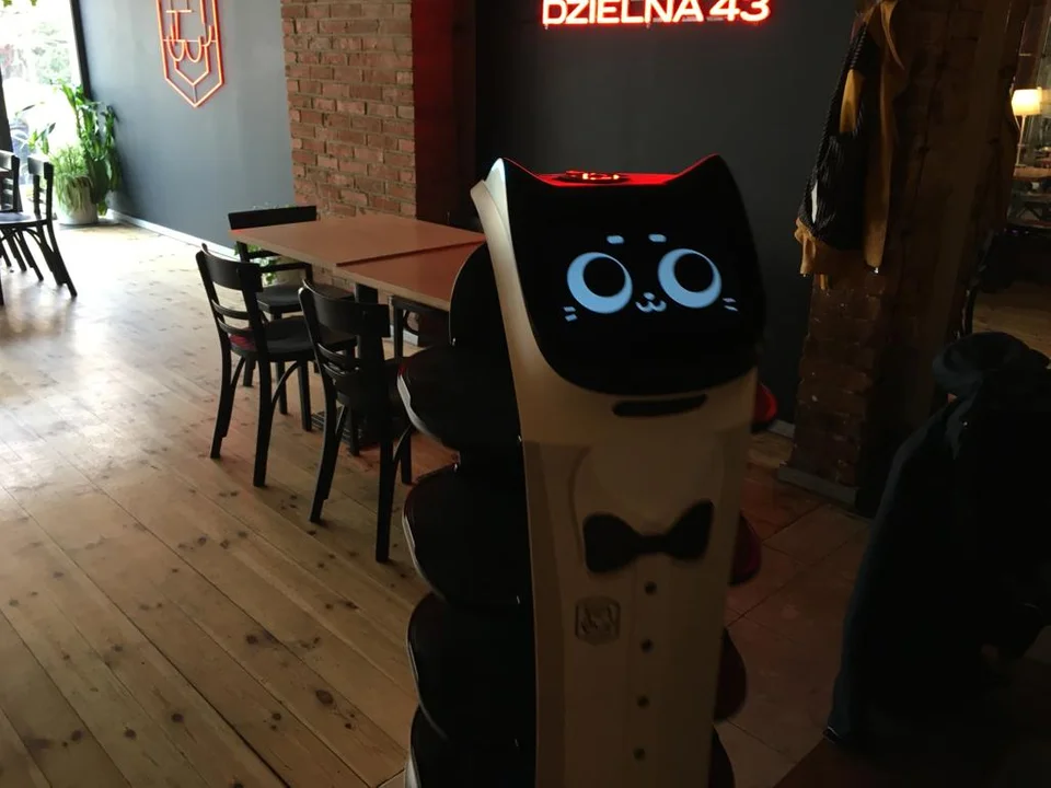 Dzielny robot na Dzielnej 43