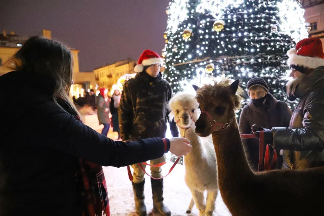 Już dziś (6.12) oficjalne uruchomienie iluminacji świątecznych w Kutnie