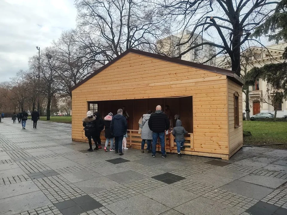 Najpiękniejsze szopki w łódzkich kościołach