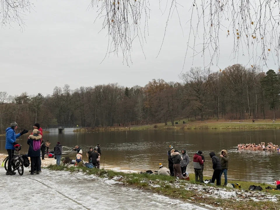 Morsy w Arturówku — Łódź, 24.11.2024 r.