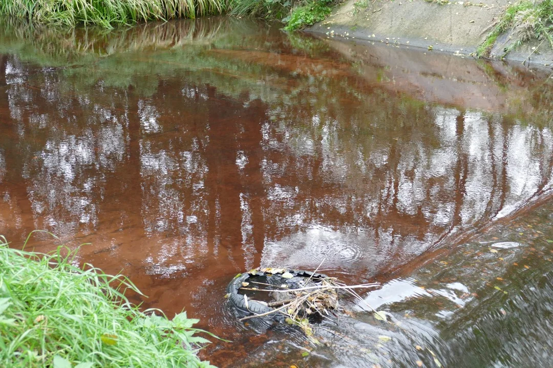 Woda w Bzurze ma kolor czerwony. WIOŚ sprawdza zanieczyszczenie rzeki [ZDJĘCIA] - Zdjęcie główne