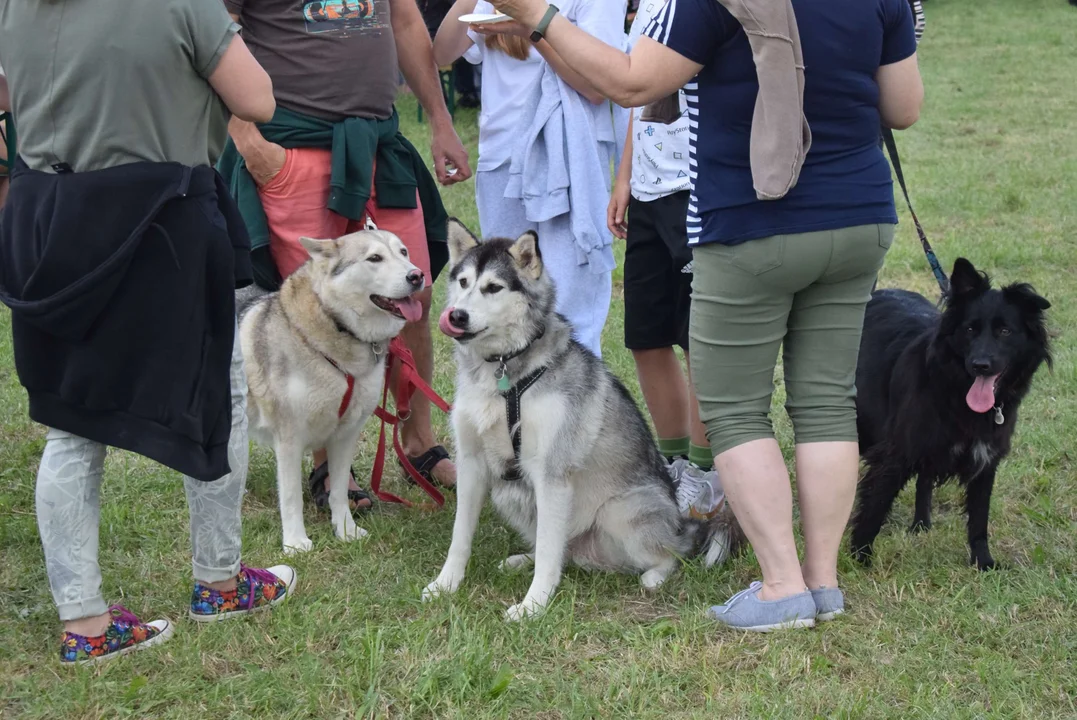 Dożynki gminy Stryków w Warszewicach