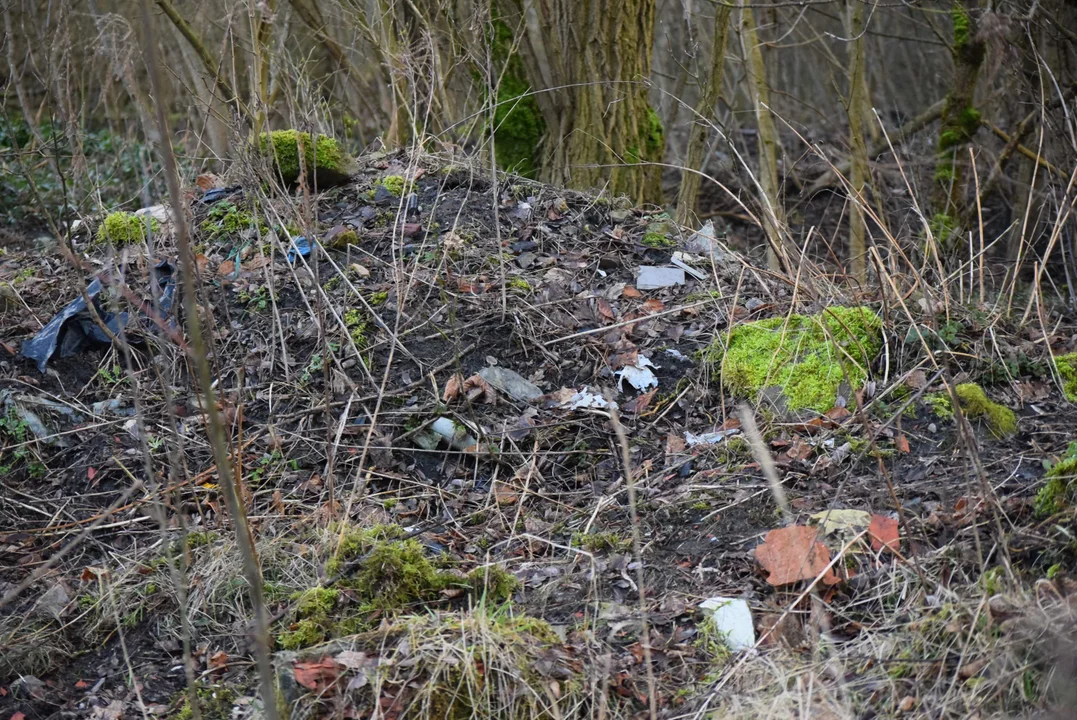 Składowisko odpadów na ul. Szczawińskiej w Zgierzu