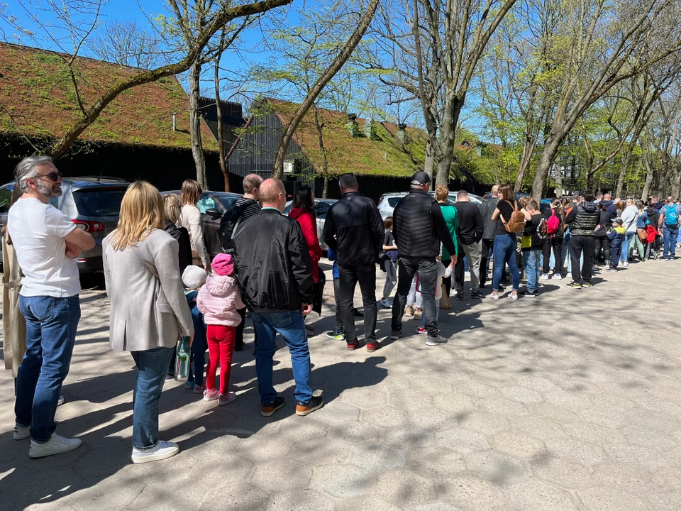 Kolejka w majówkę do Orientarium ZOO Łódź