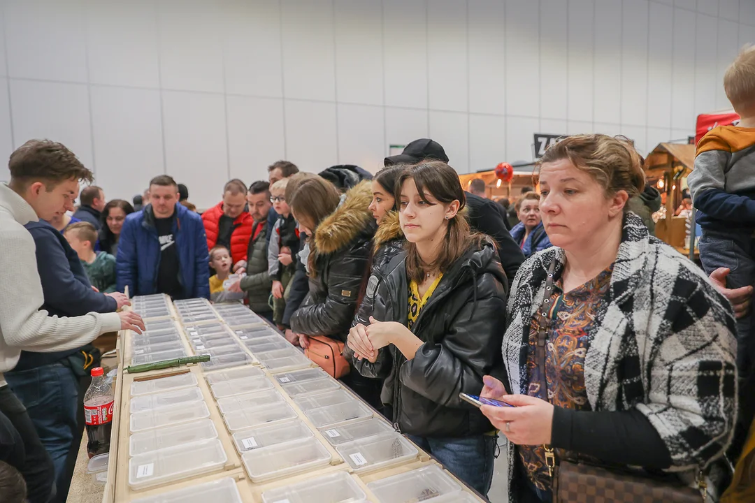 Targi zwierząt egzotycznych w Łodzi