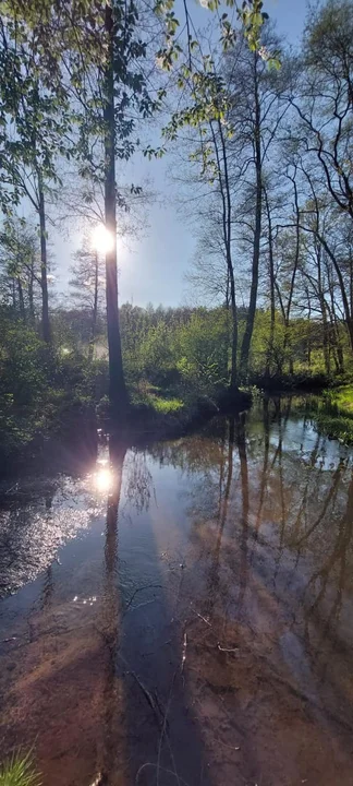 Osada Dwa Młyny w powiecie pabianickim