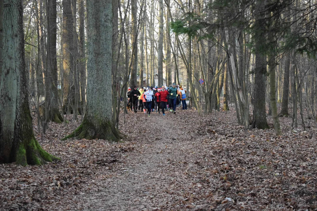 Parkrun w Lesie Łagiewnickim