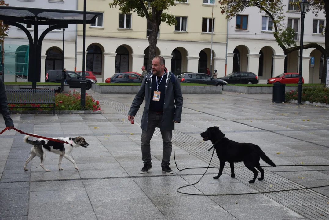 Światowy Dzień Zwierząt w Łodzi