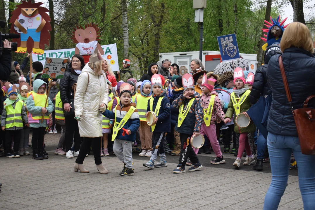 Parada jeży w Zgierzu