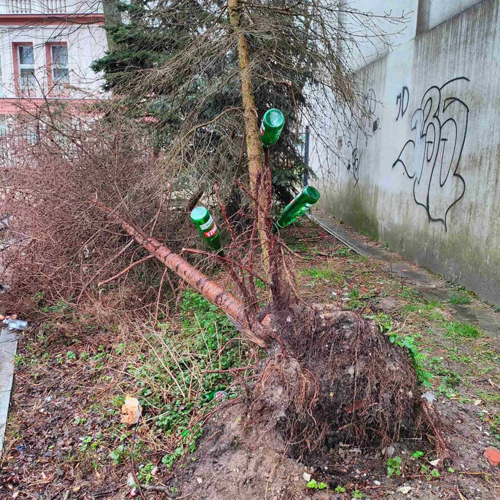 Przebicie kwartałowe Zachodnia - Gdańska - Legionów