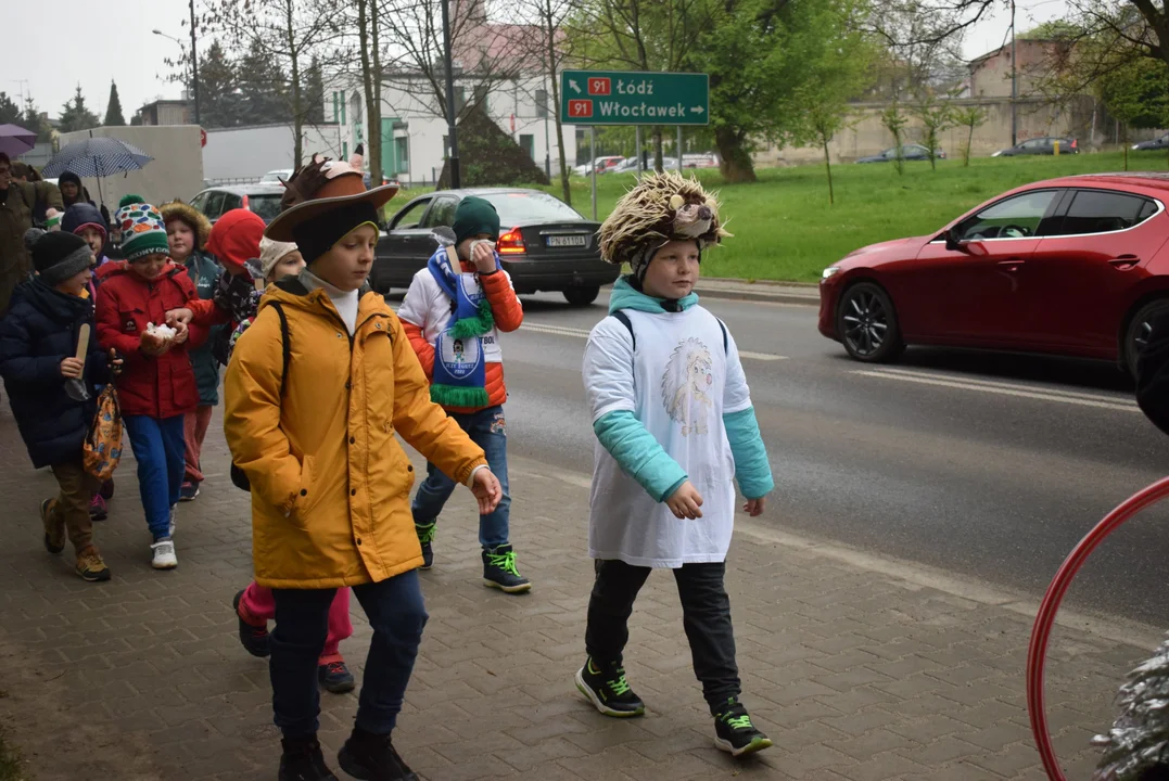 Parada jeży w Zgierzu