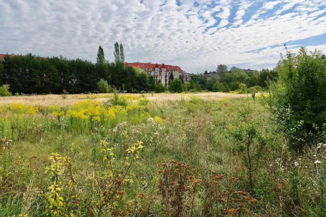 Nowy park na Górnej. Łódzcy radni oficjalnie nadali mu nazwę [FOTO] - Zdjęcie główne