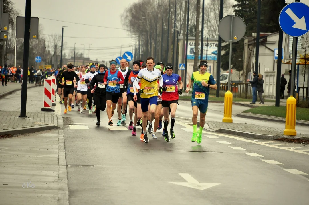 XI Pabianicki Półmaraton