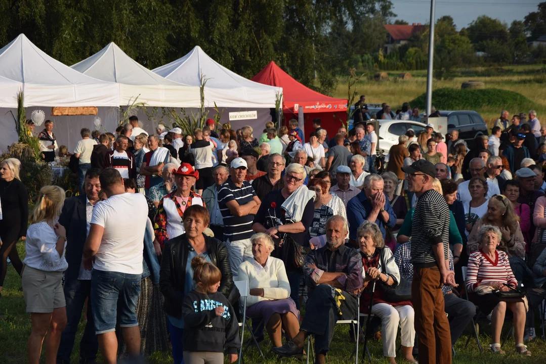 Tłumy mieszkańców bawiły się na dożynkowych koncertach w Żychlinie