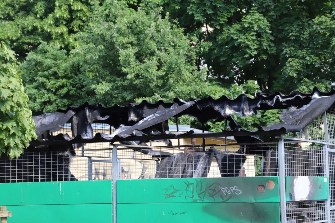 Pożar w Kutnie. Straż pożarna w rejonie Wilczej i Grunwaldzkiej