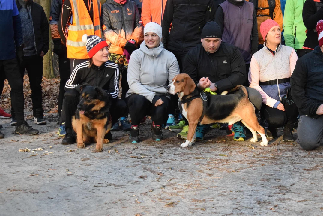 Parkrun w Lesie Łagiewnickim