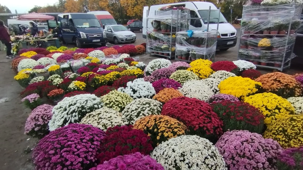 Cmentarz na Zarzewie w Łodzi