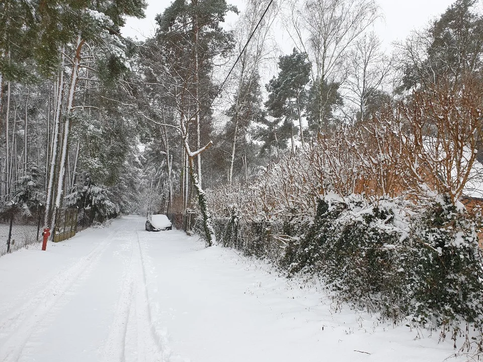 Śnieżna galeria ze Zgierza i Sokolnik-Lasu