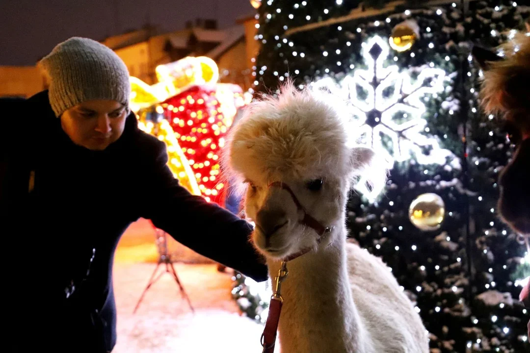 Już dziś (6.12) oficjalne uruchomienie iluminacji świątecznych w Kutnie