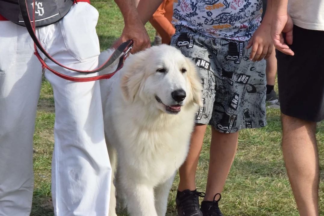 Dożynki gminy Stryków w Warszewicach