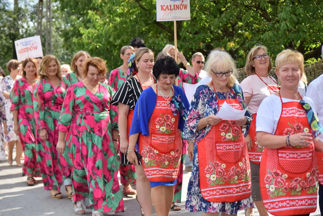 Dożynki gminy Stryków w Warszewicach