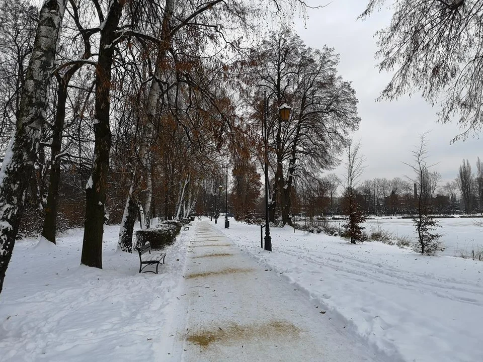 Zima zagościła w Parku Miejskim