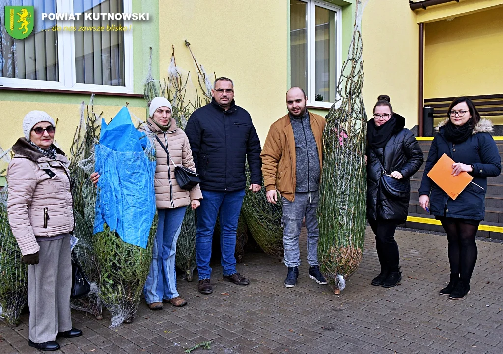 Starostwo rozdało choinki. Do mieszkańców trafiło 50 świątecznych drzewek [ZDJĘCIA] - Zdjęcie główne